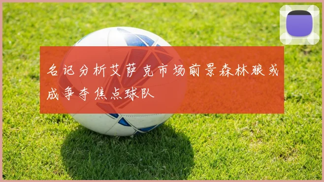 名记分析艾萨克市场前景森林狼或成争夺焦点球队