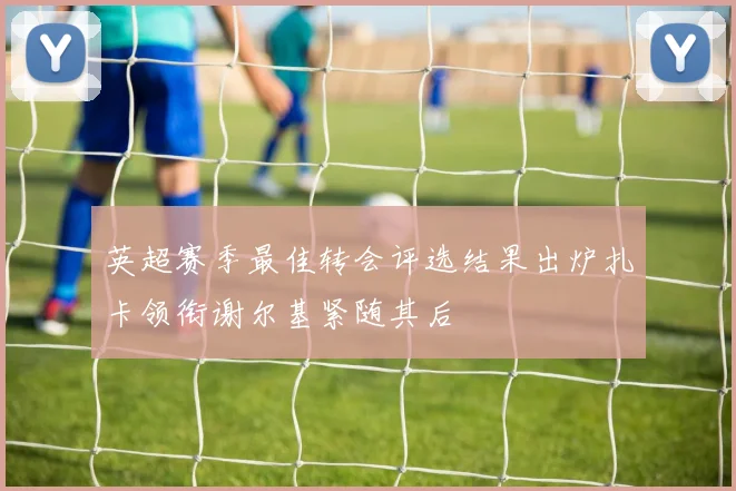 英超赛季最佳转会评选结果出炉扎卡领衔谢尔基紧随其后